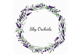 Sky Orchids